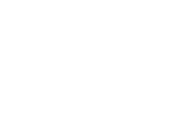 customize-icon
